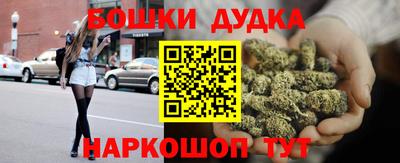 a pvp Камышлов