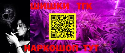 a pvp Камышлов
