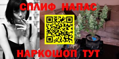 винт Канаш
