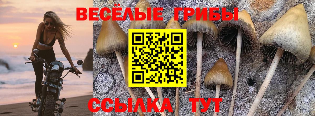 Галлюциногенные грибы Magic Shrooms  Вход с VPN  даркнет сайт  Кувандык 