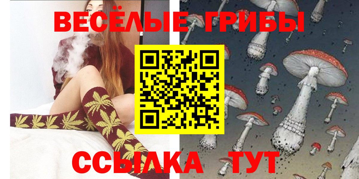 Псилоцибиновые грибы Psilocybe Кувандык