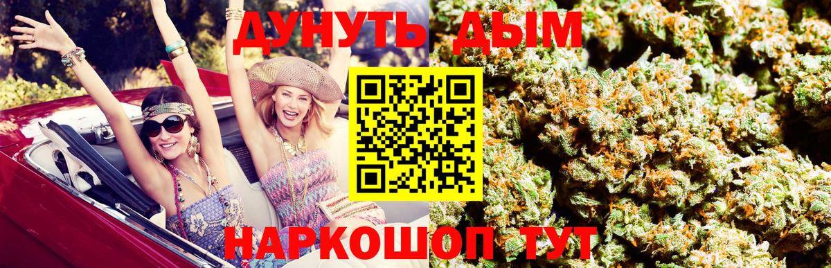 Каннабис SATIVA & INDICA Кувандык